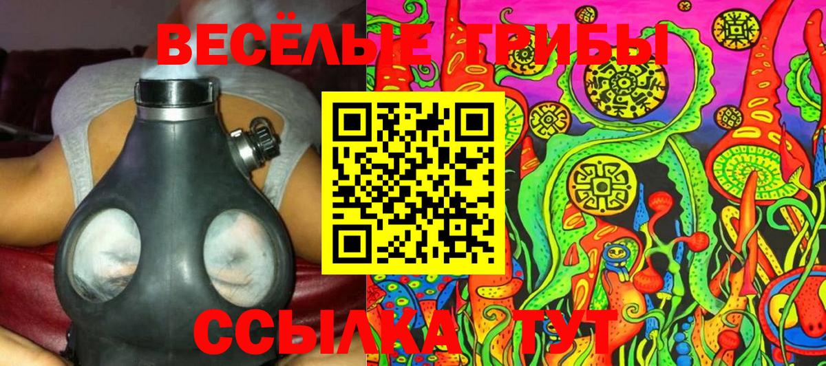 Галлюциногенные грибы Psilocybe  Псилоцибиновые грибы Psilocybine cubensis  Белебей  Вход с VPN 